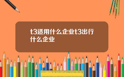 t3适用什么企业t3出行什么企业