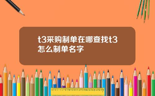 t3采购制单在哪查找t3怎么制单名字