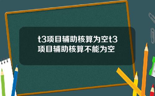 t3项目辅助核算为空t3项目辅助核算不能为空