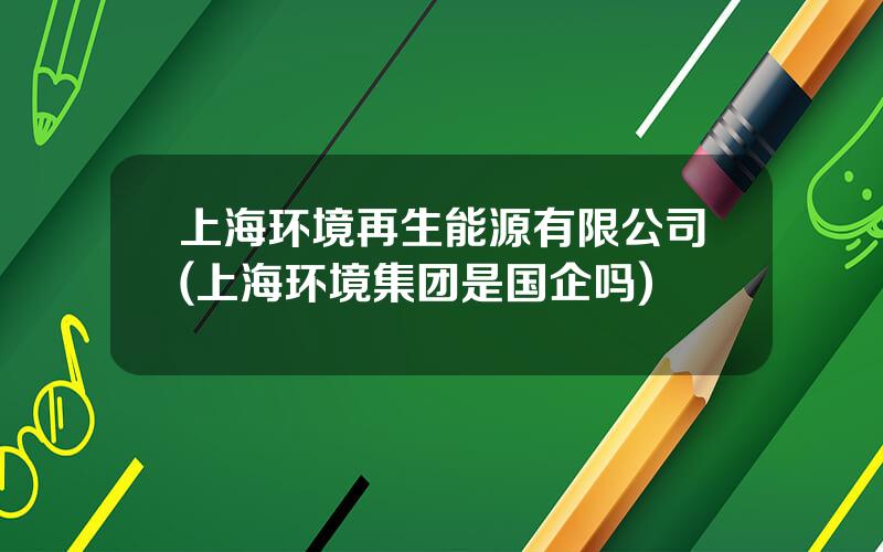 上海环境再生能源有限公司(上海环境集团是国企吗)