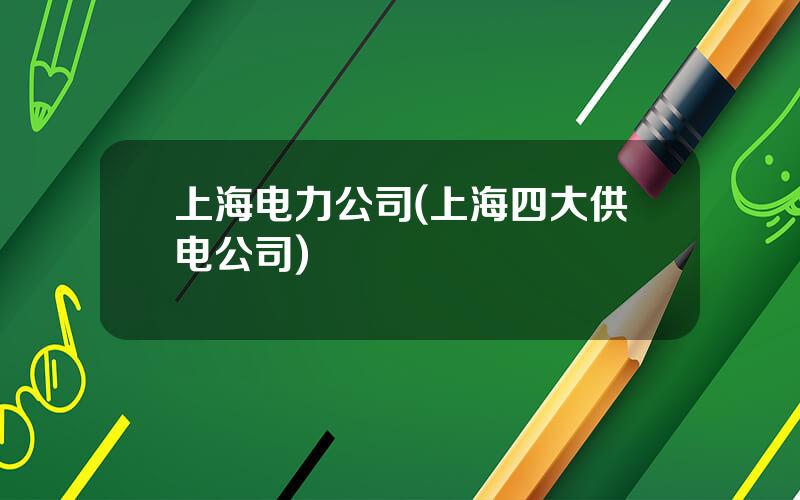 上海电力公司(上海四大供电公司)