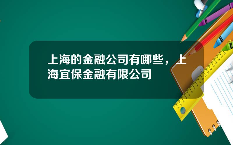 上海的金融公司有哪些，上海宜保金融有限公司