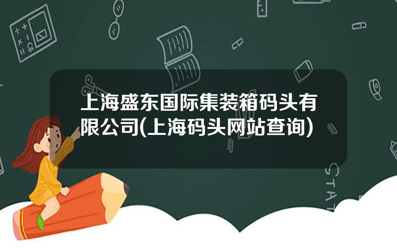 上海盛东国际集装箱码头有限公司(上海码头网站查询)