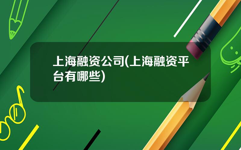 上海融资公司(上海融资平台有哪些)