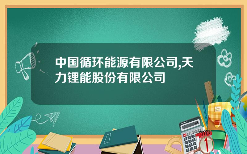 中国循环能源有限公司,天力锂能股份有限公司
