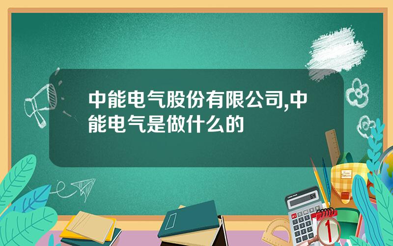 中能电气股份有限公司,中能电气是做什么的