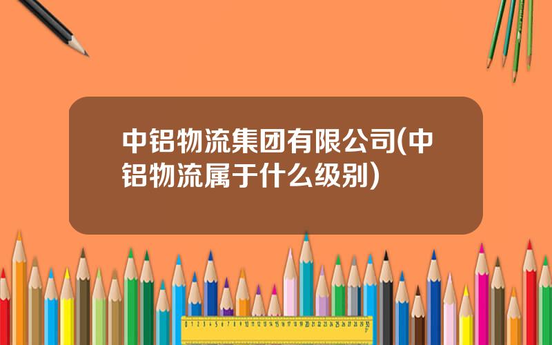 中铝物流集团有限公司(中铝物流属于什么级别)
