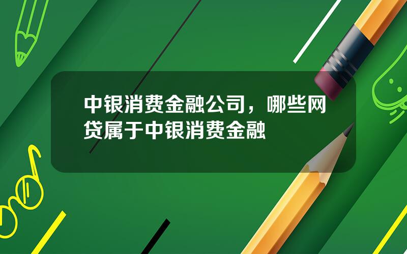 中银消费金融公司，哪些网贷属于中银消费金融