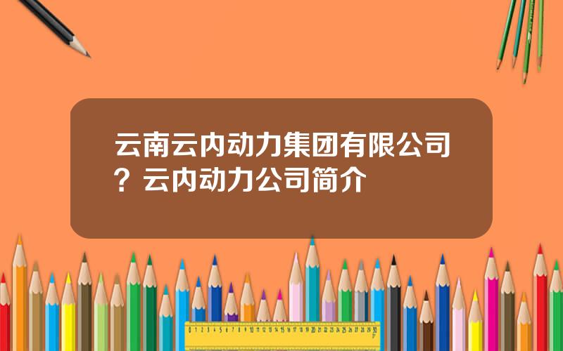 云南云内动力集团有限公司？云内动力公司简介