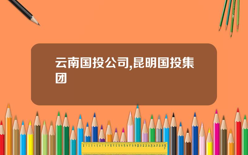 云南国投公司,昆明国投集团