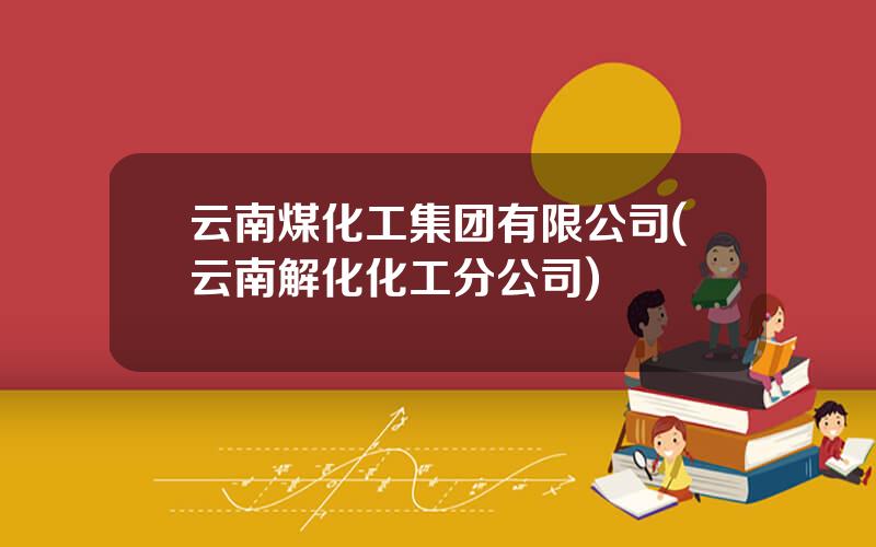 云南煤化工集团有限公司(云南解化化工分公司)