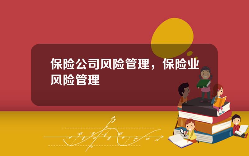 保险公司风险管理，保险业风险管理