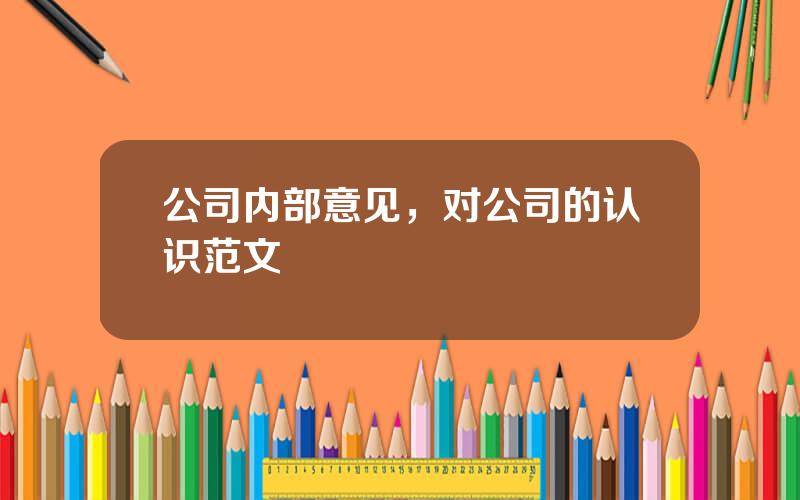 公司内部意见，对公司的认识范文
