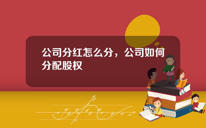 公司分红怎么分，公司如何分配股权