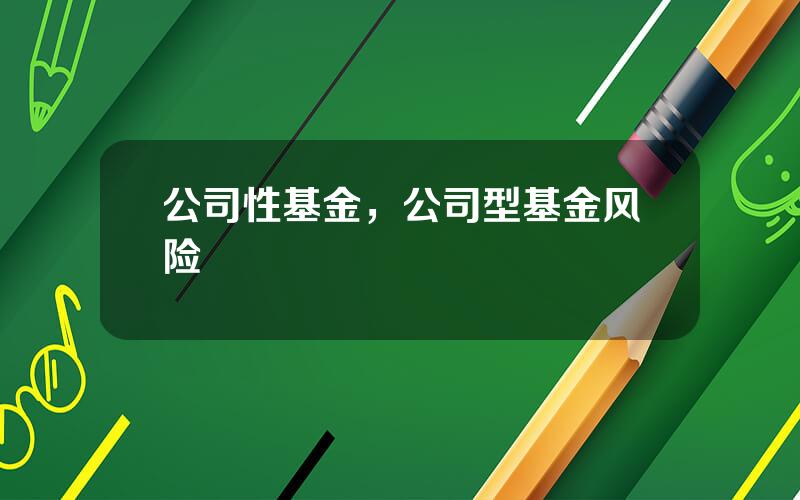 公司性基金，公司型基金风险
