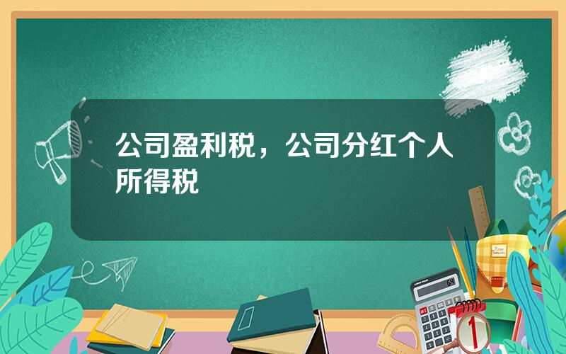 公司盈利税，公司分红个人所得税