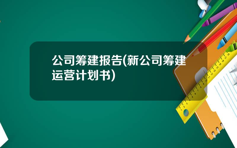 公司筹建报告(新公司筹建运营计划书)