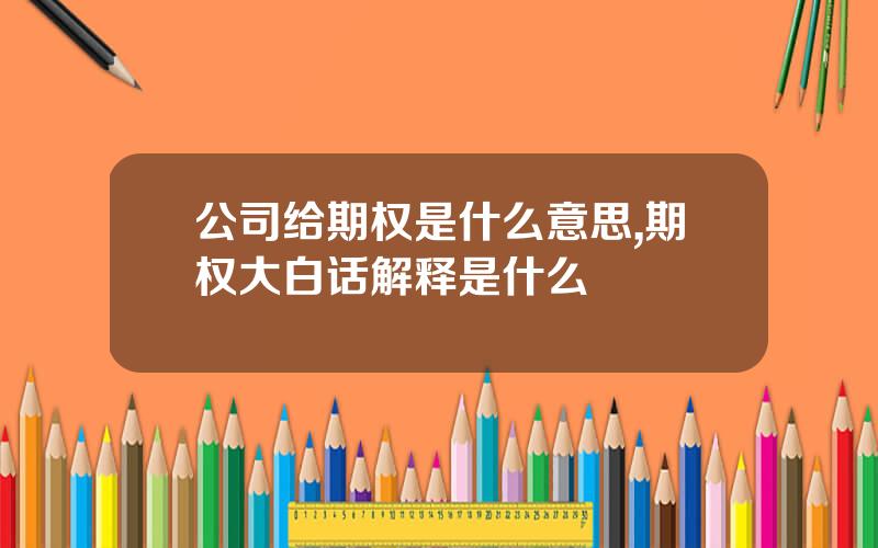 公司给期权是什么意思,期权大白话解释是什么