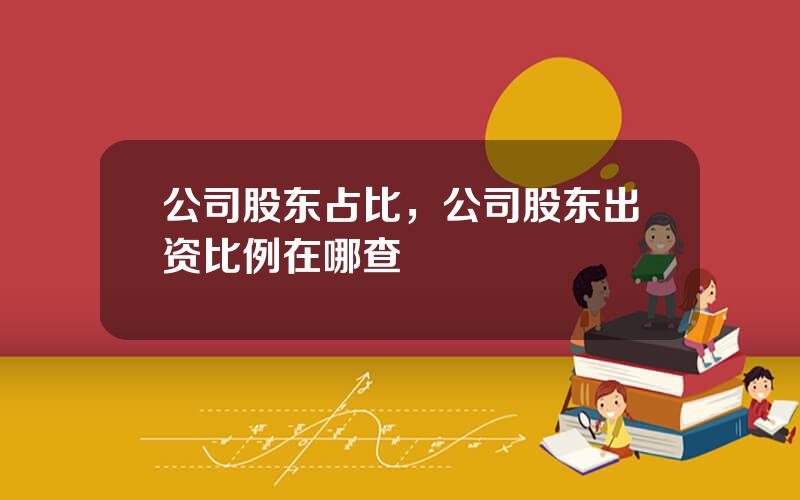 公司股东占比，公司股东出资比例在哪查