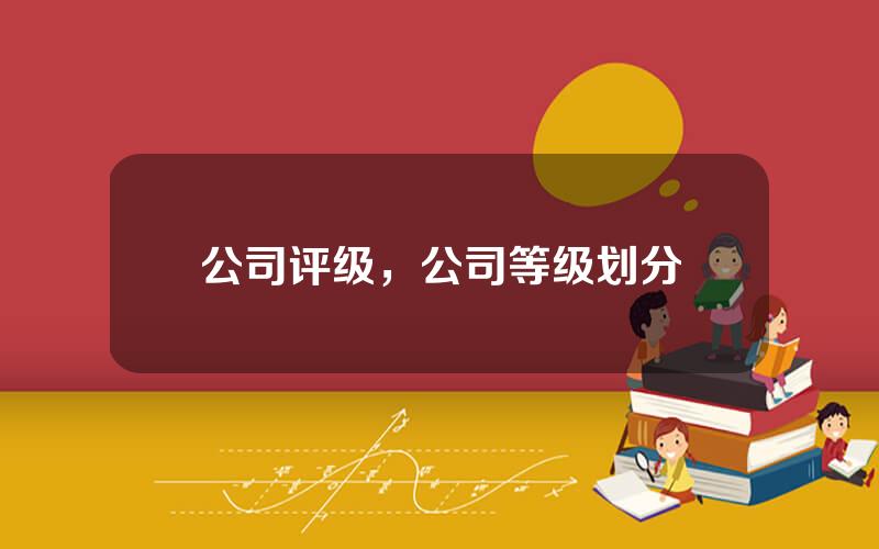 公司评级，公司等级划分