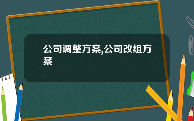 公司调整方案,公司改组方案