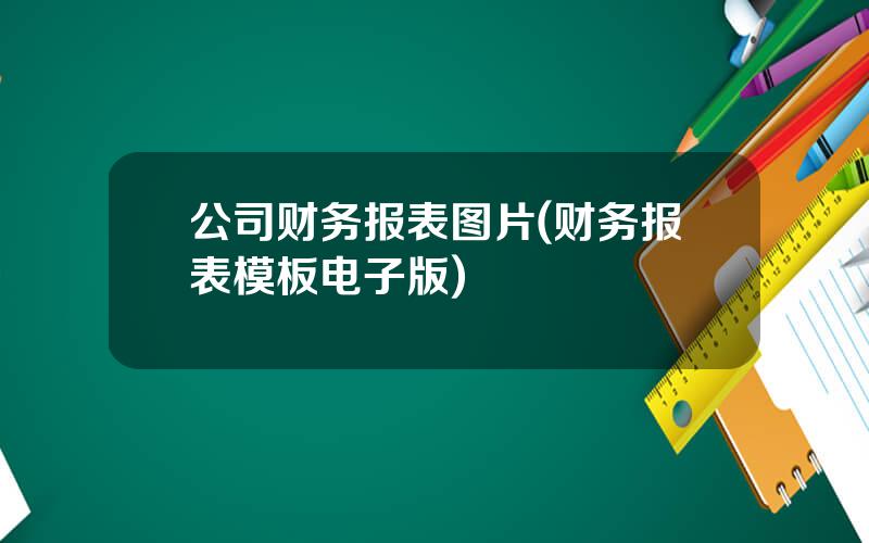 公司财务报表图片(财务报表模板电子版)