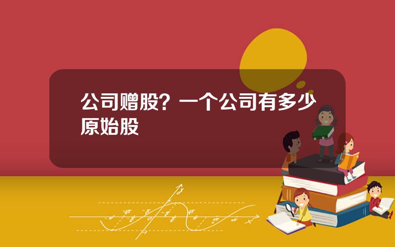 公司赠股？一个公司有多少原始股