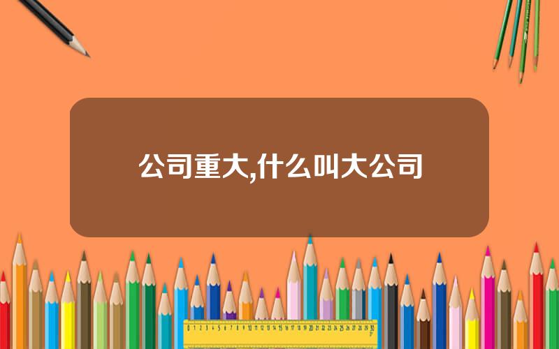 公司重大,什么叫大公司