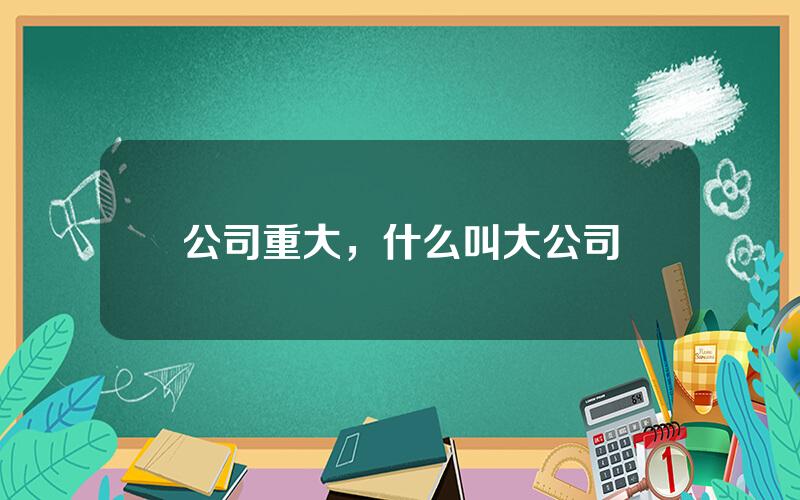 公司重大，什么叫大公司