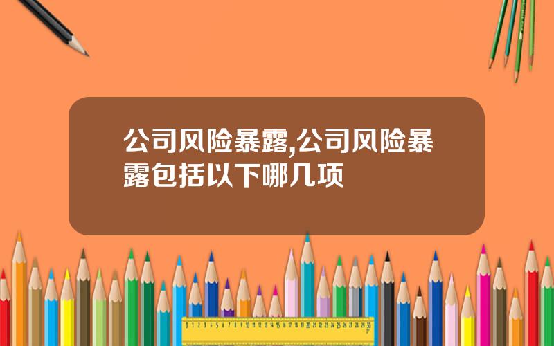 公司风险暴露,公司风险暴露包括以下哪几项