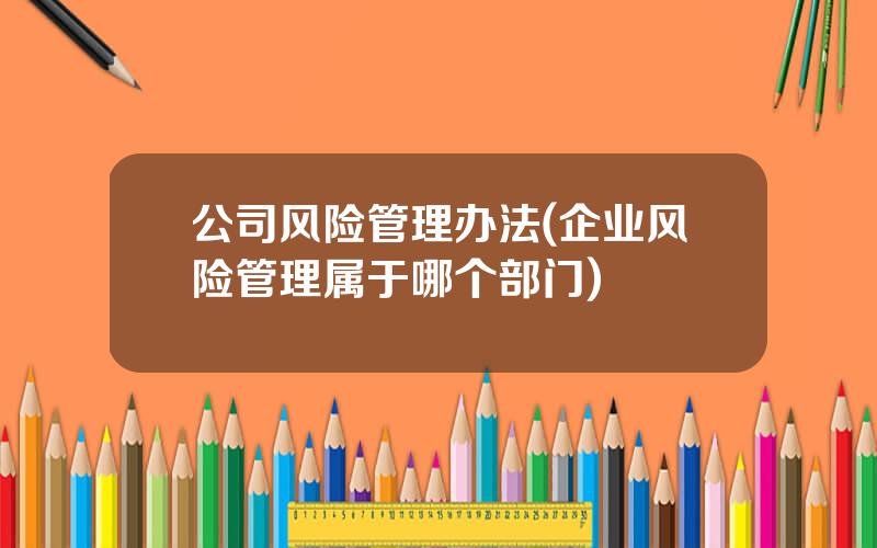 公司风险管理办法(企业风险管理属于哪个部门)