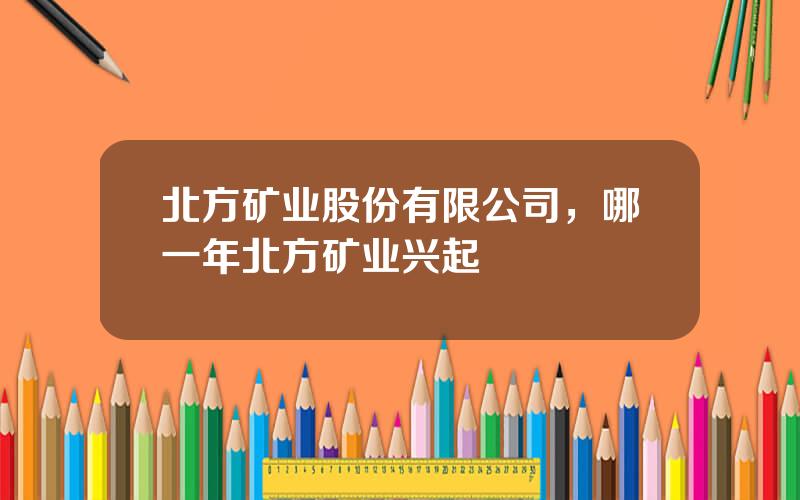 北方矿业股份有限公司，哪一年北方矿业兴起