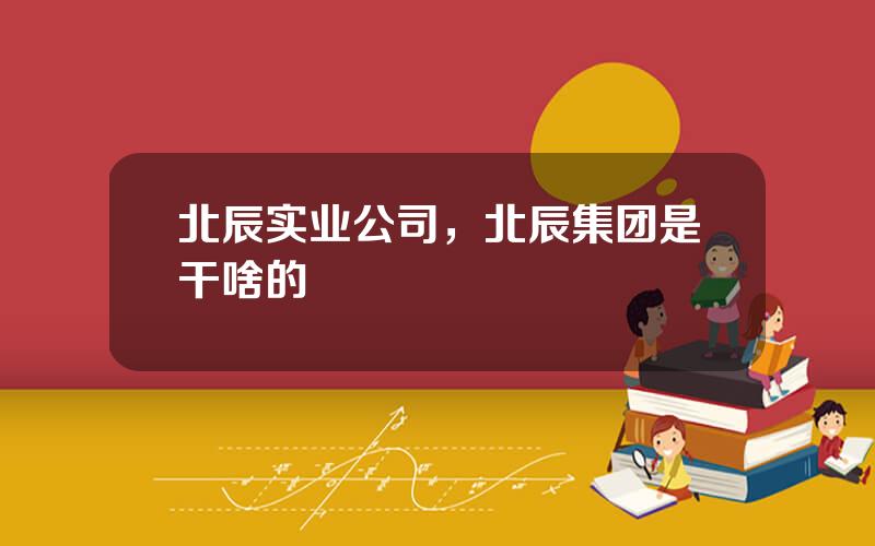北辰实业公司，北辰集团是干啥的