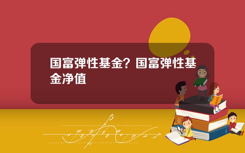 国富弹性基金？国富弹性基金净值