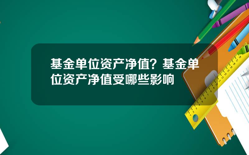 基金单位资产净值？基金单位资产净值受哪些影响