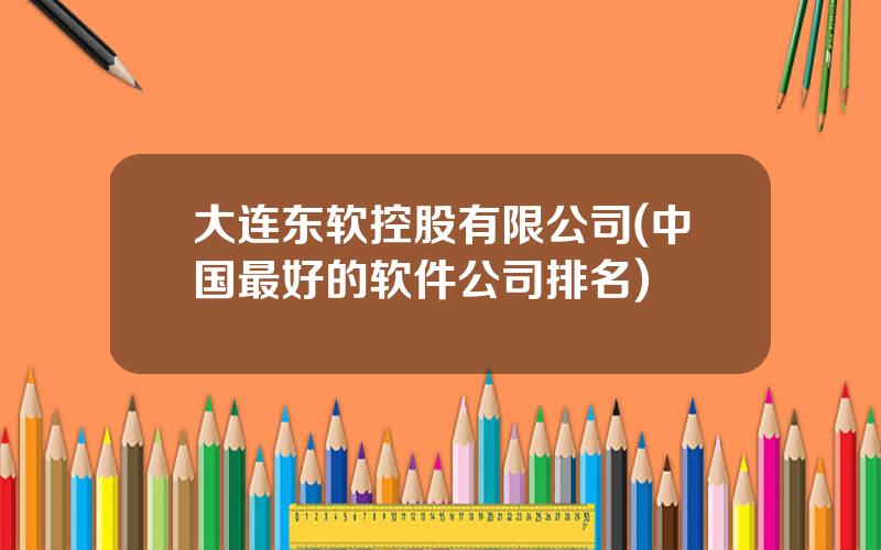 大连东软控股有限公司(中国最好的软件公司排名)