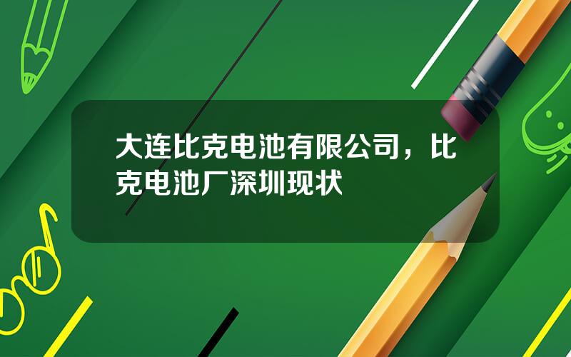 大连比克电池有限公司，比克电池厂深圳现状