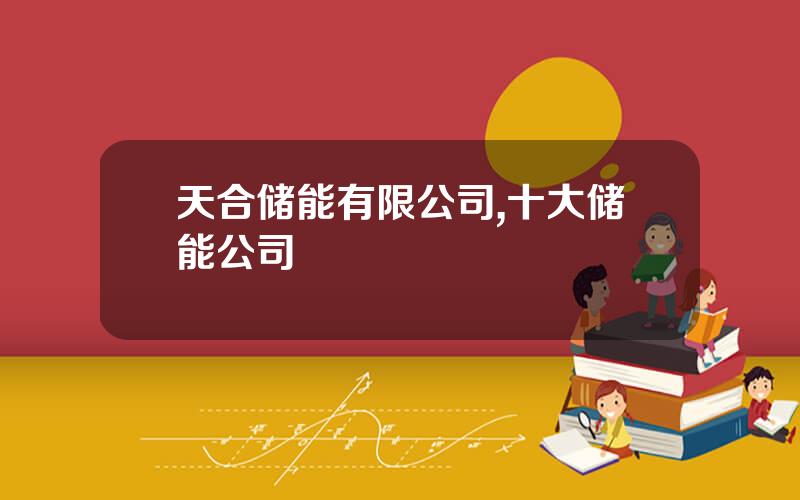 天合储能有限公司,十大储能公司