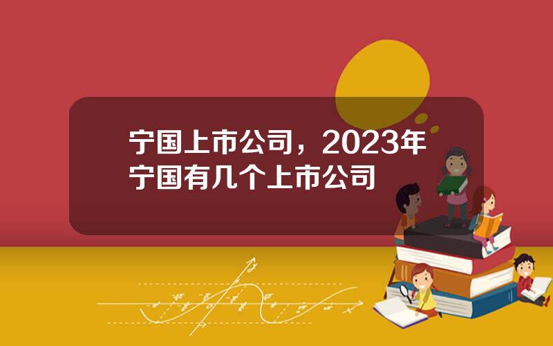 宁国上市公司，2023年宁国有几个上市公司
