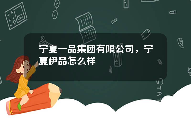 宁夏一品集团有限公司，宁夏伊品怎么样