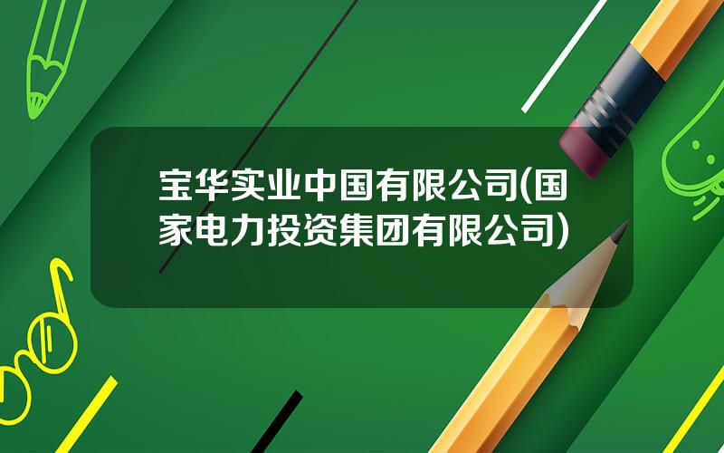 宝华实业中国有限公司(国家电力投资集团有限公司)