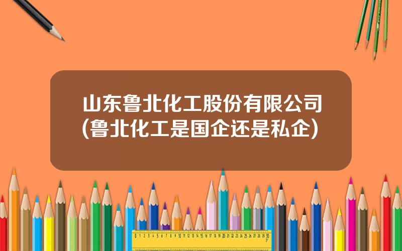 山东鲁北化工股份有限公司(鲁北化工是国企还是私企)