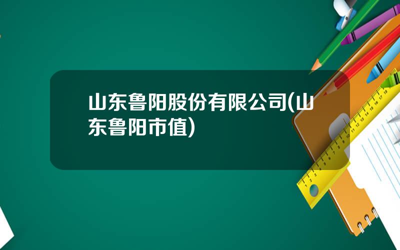 山东鲁阳股份有限公司(山东鲁阳市值)