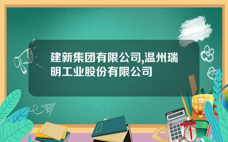 建新集团有限公司,温州瑞明工业股份有限公司