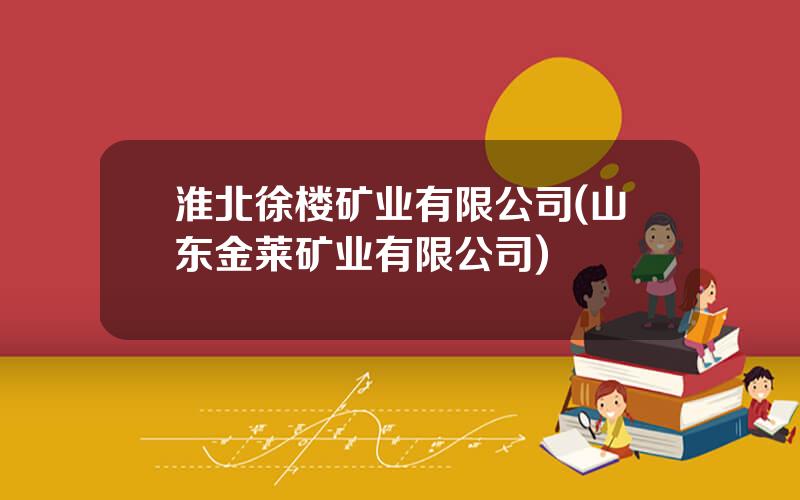 淮北徐楼矿业有限公司(山东金莱矿业有限公司)