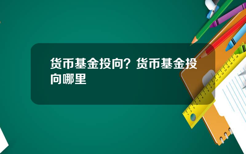 货币基金投向？货币基金投向哪里