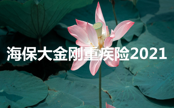 海保大金刚重疾险2021性价比高吗-核保比较宽松-适合什么人买-